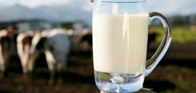 فوائد الحليب خالي الدسم