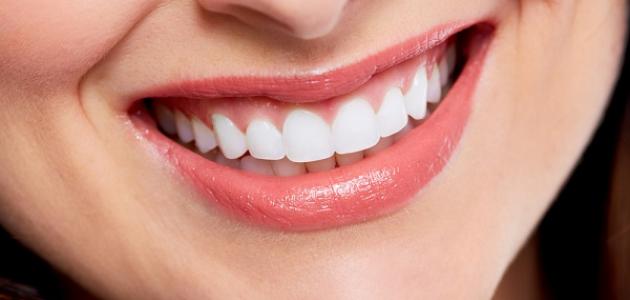 ما أهمية الأسنان